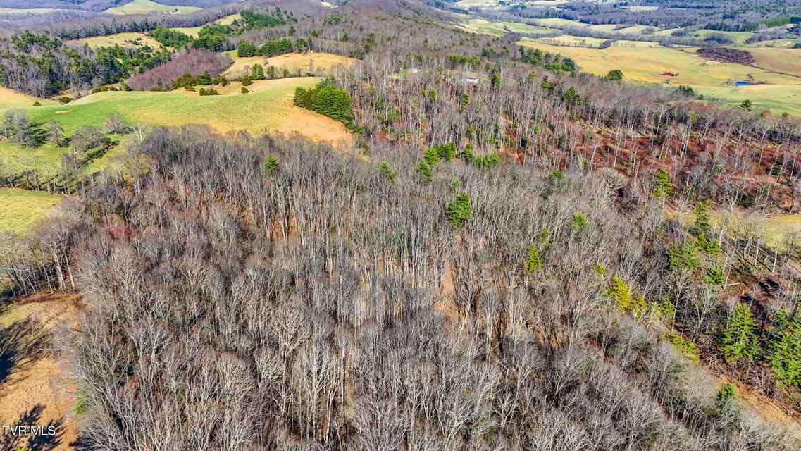 Photo #10: Tbd Crigger Creek 