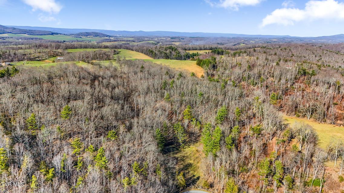 Photo #13: Tbd Crigger Creek 