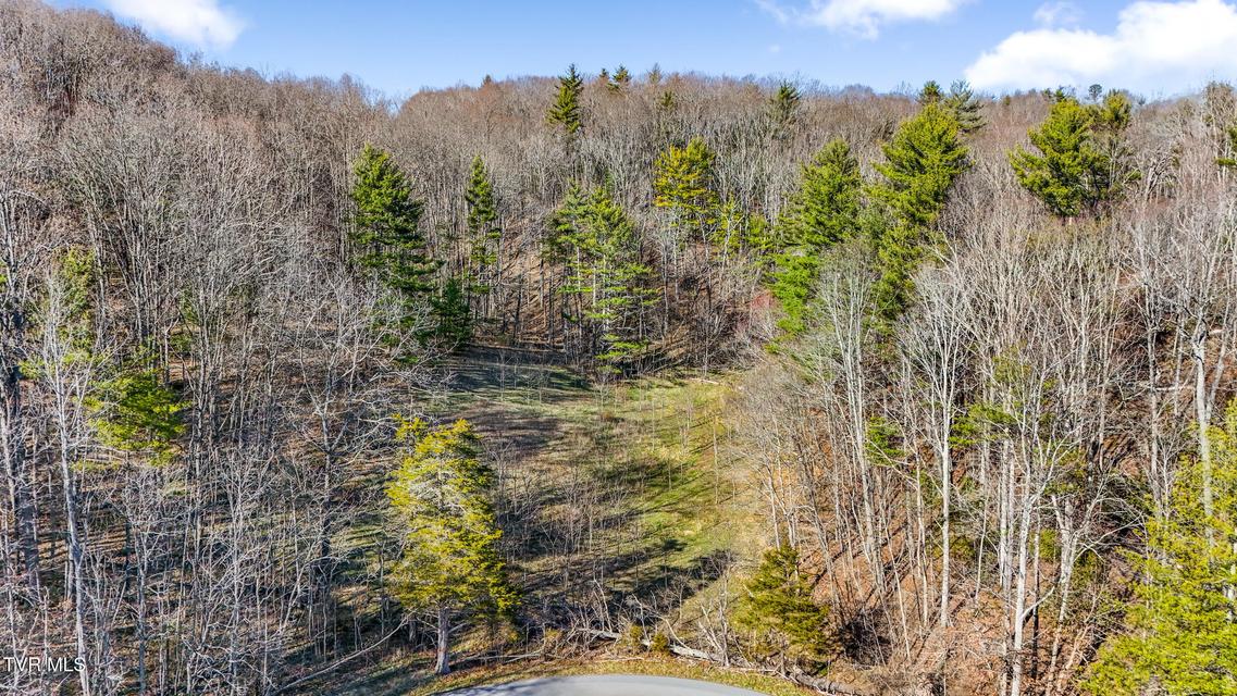 Photo #14: Tbd Crigger Creek 