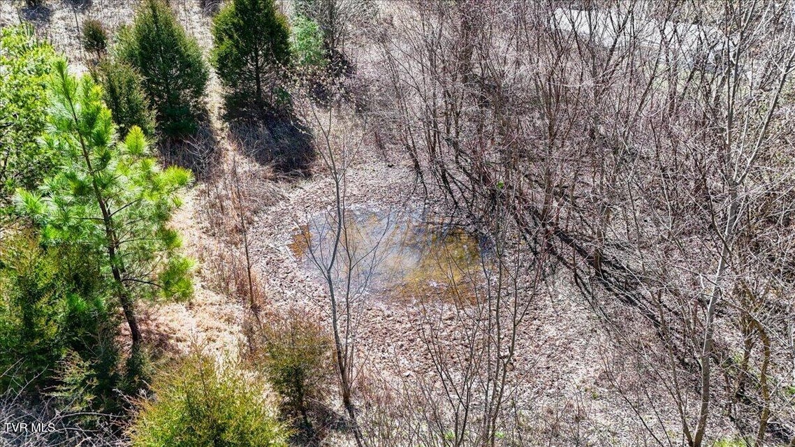 Photo #51: 246 Keenburg Road