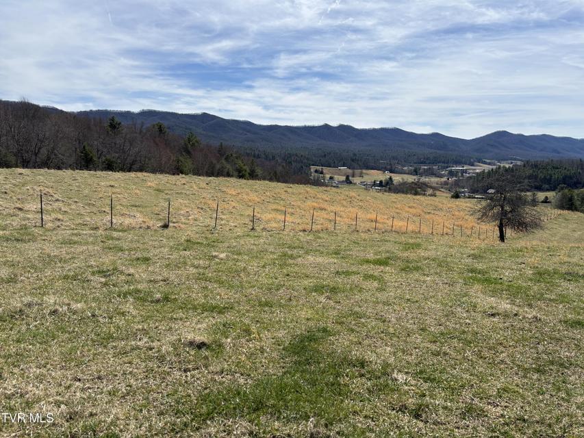 Photo #3: 00 Swift Hollow Road