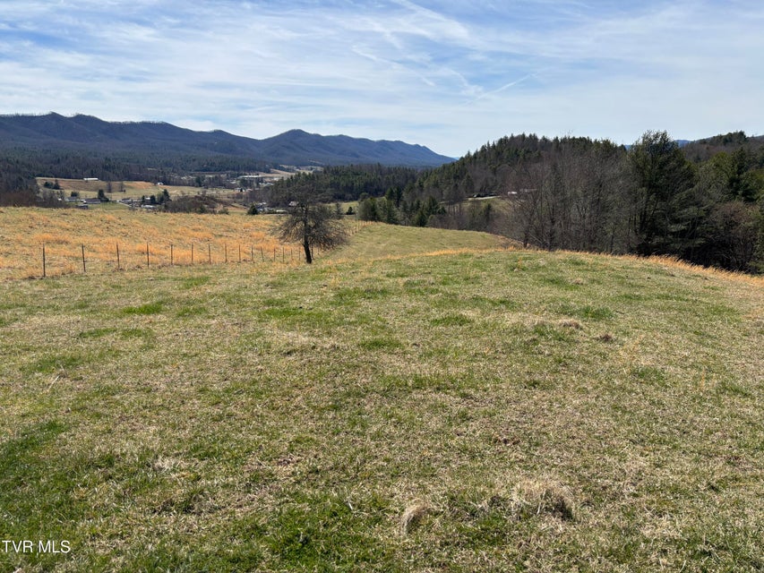 Photo #4: 00 Swift Hollow Road