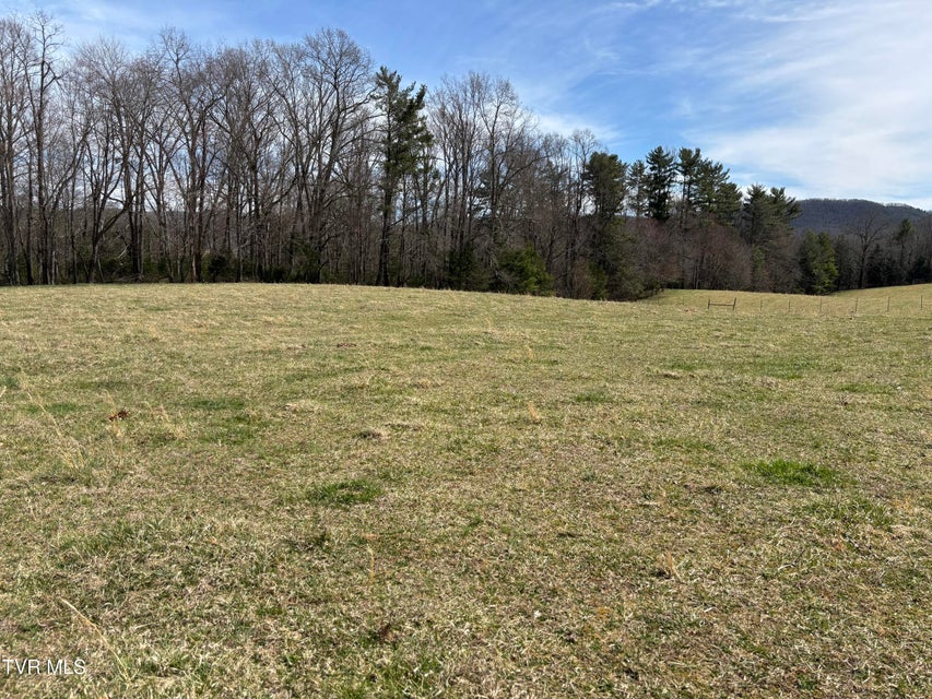 Photo #5: 00 Swift Hollow Road