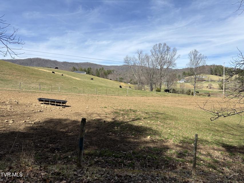 Photo #8: 00 Swift Hollow Road