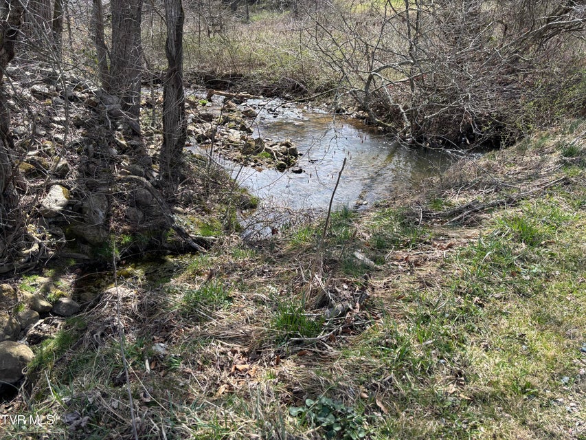 Photo #10: 00 Swift Hollow Road