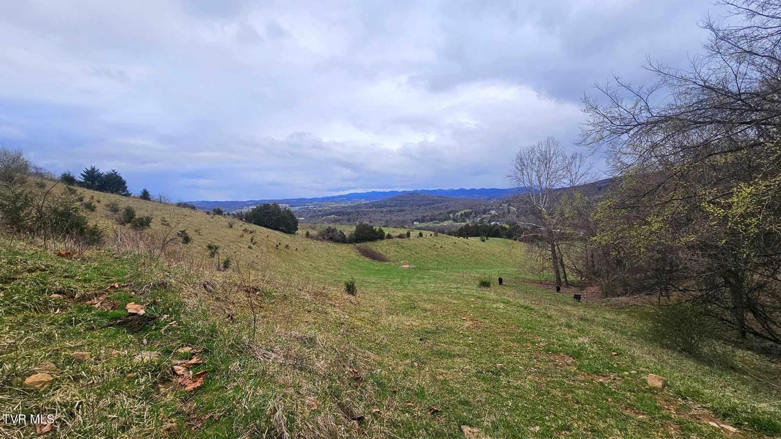 Photo #9: Tbd Wilderness Road