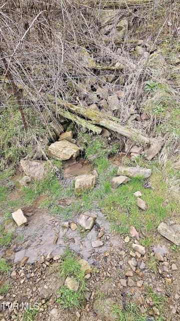 Photo #10: Tbd Wilderness Road