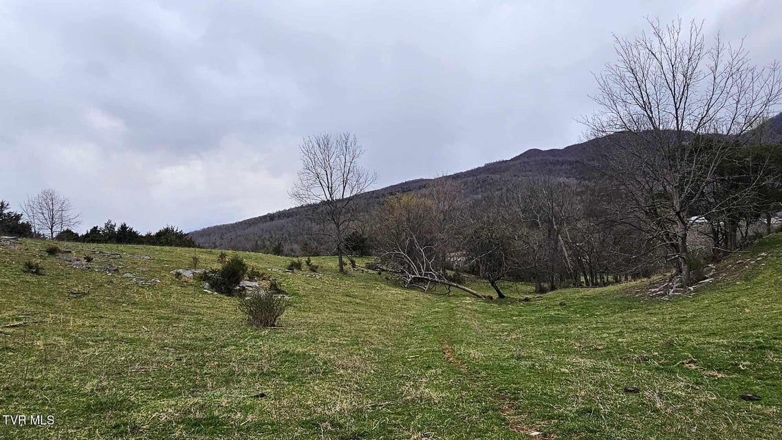 Photo #13: Tbd Wilderness Road