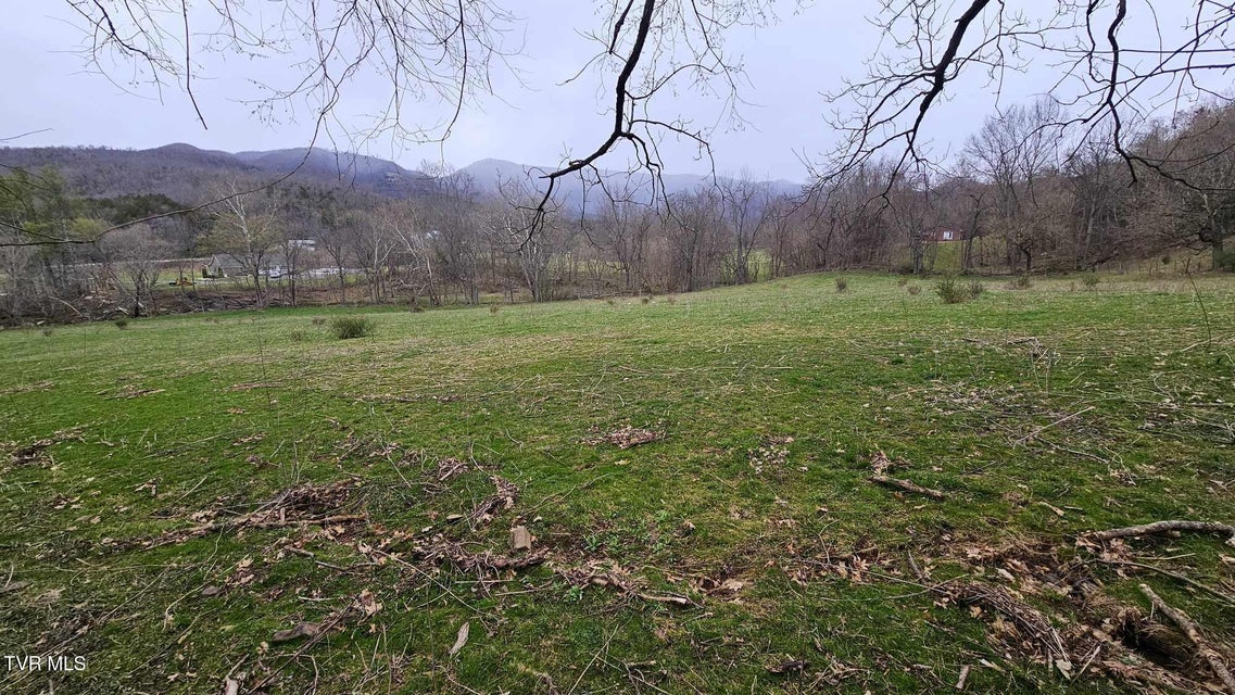 Photo #15: Tbd Wilderness Road