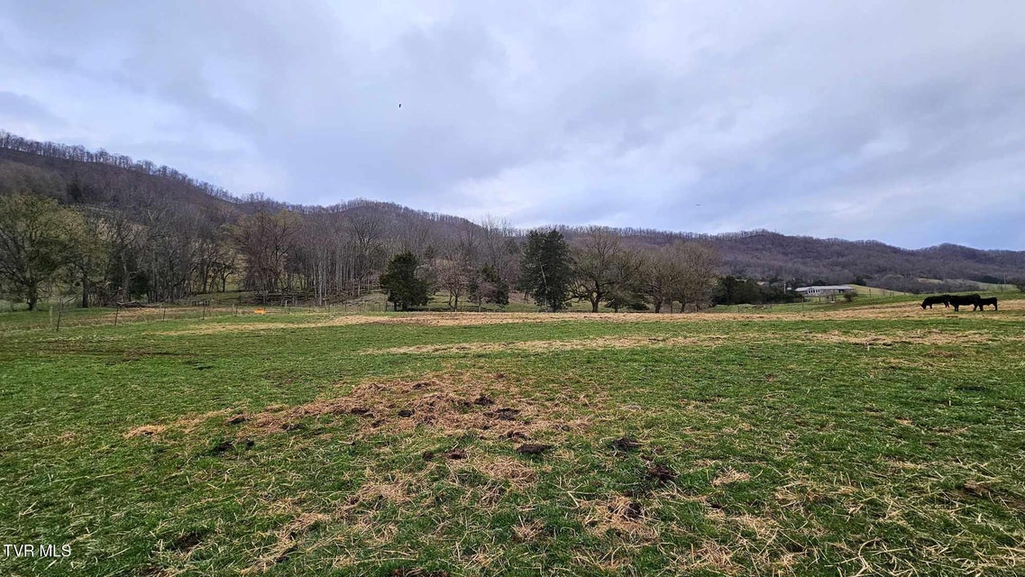 Photo #18: Tbd Wilderness Road