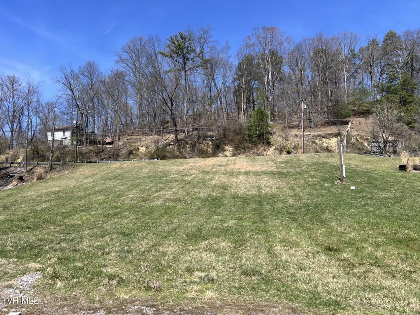 Photo #2: Tbd Chatham Road