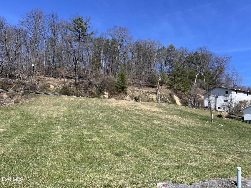 Photo #3: Tbd Chatham Road