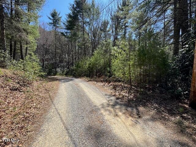 Photo #5: 0 Buck Hollow Road