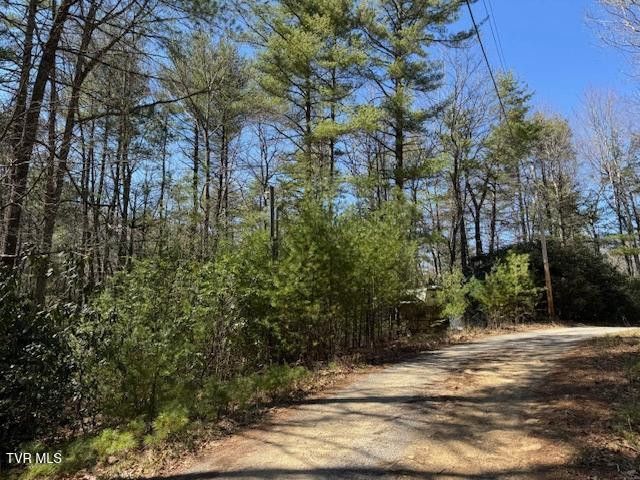 Photo #8: 0 Buck Hollow Road