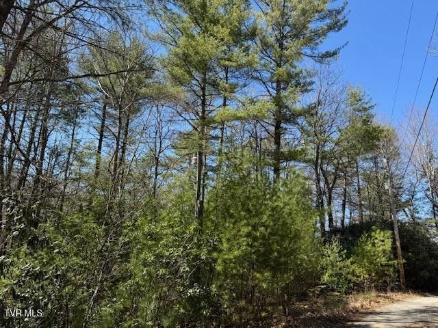 Photo #9: 0 Buck Hollow Road