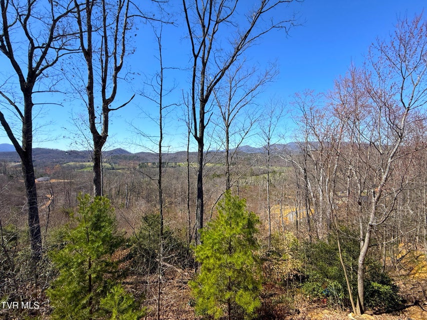 Photo #9: 180 Grand Country Drive