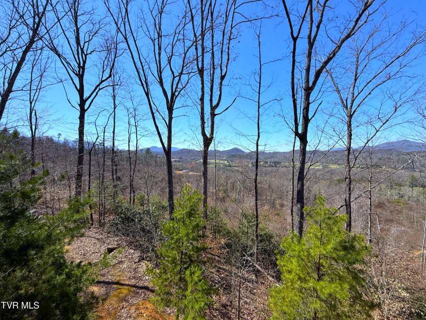Photo #10: 180 Grand Country Drive