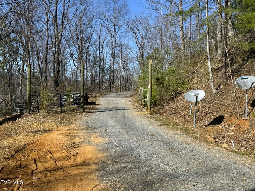 Photo #39: 180 Grand Country Drive