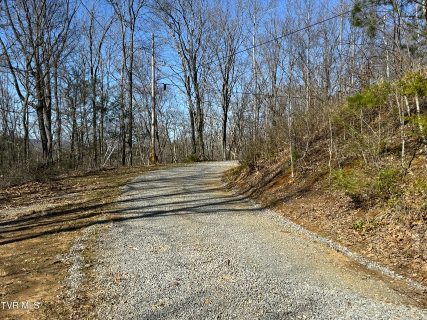 Photo #40: 180 Grand Country Drive