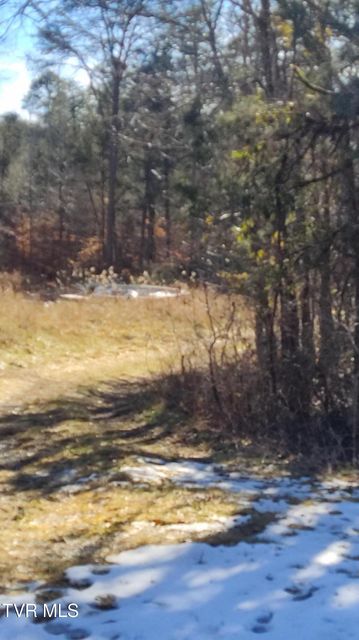 Photo #6: 20 Acres Tbd Dunville Gap Road