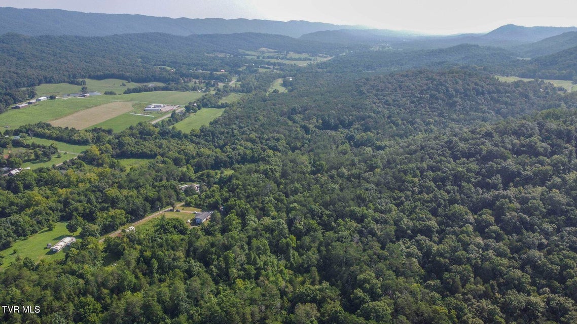 Photo #22: 20 Acres Tbd Dunville Gap Road