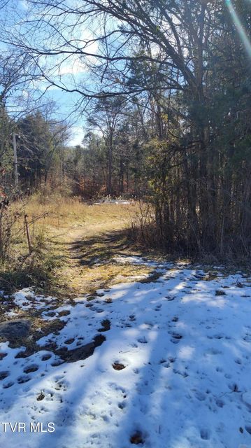 Photo #7: 20 Acres Tbd Dunville Gap Road