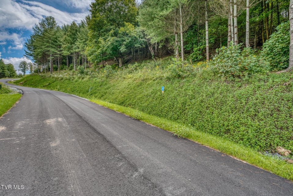 Photo #16: Lot 10 Cowan Town Road