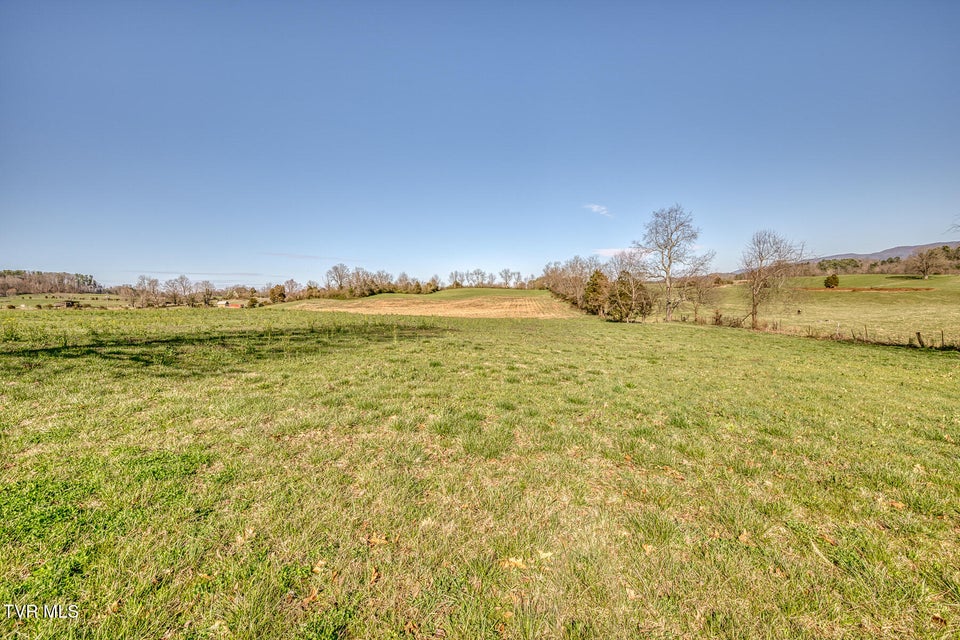 Photo #5: Tbd King Lane