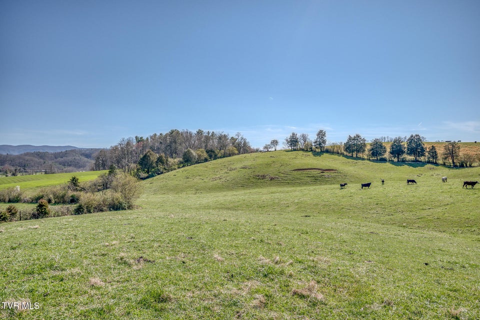 Photo #2: Tbd Highway 44
