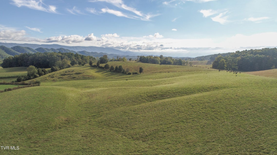 Photo #13: Tbd Highway 44