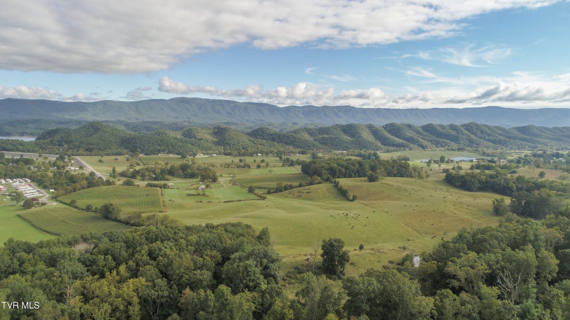 Photo #14: Tbd Highway 44