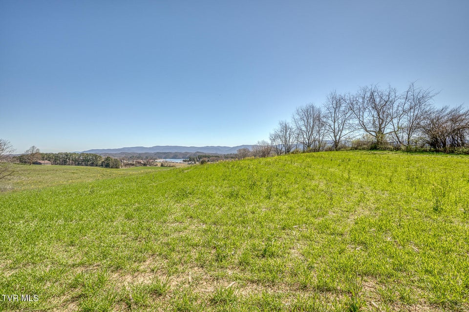 Photo #3: Tbd Highway 44
