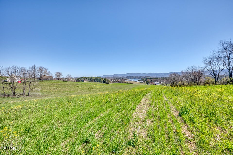 Photo #5: Tbd Highway 44