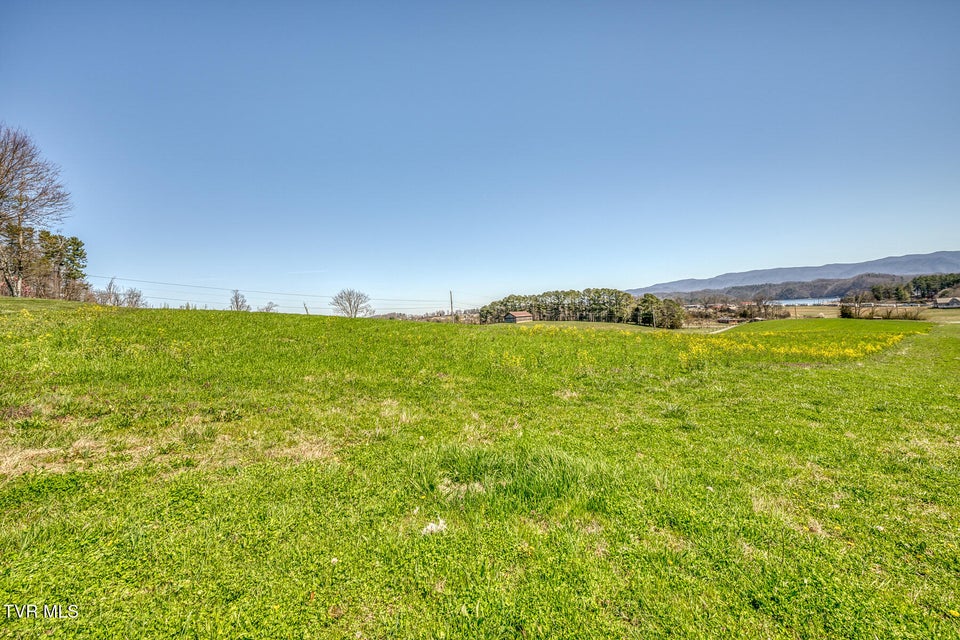 Photo #11: Tbd Highway 44