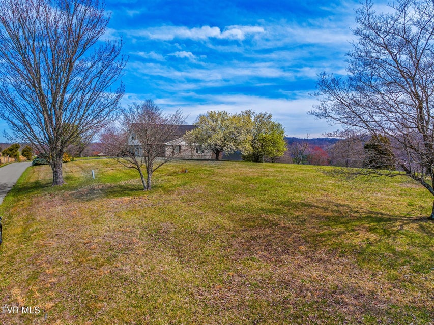 Photo #59: 540 Hurley Drive