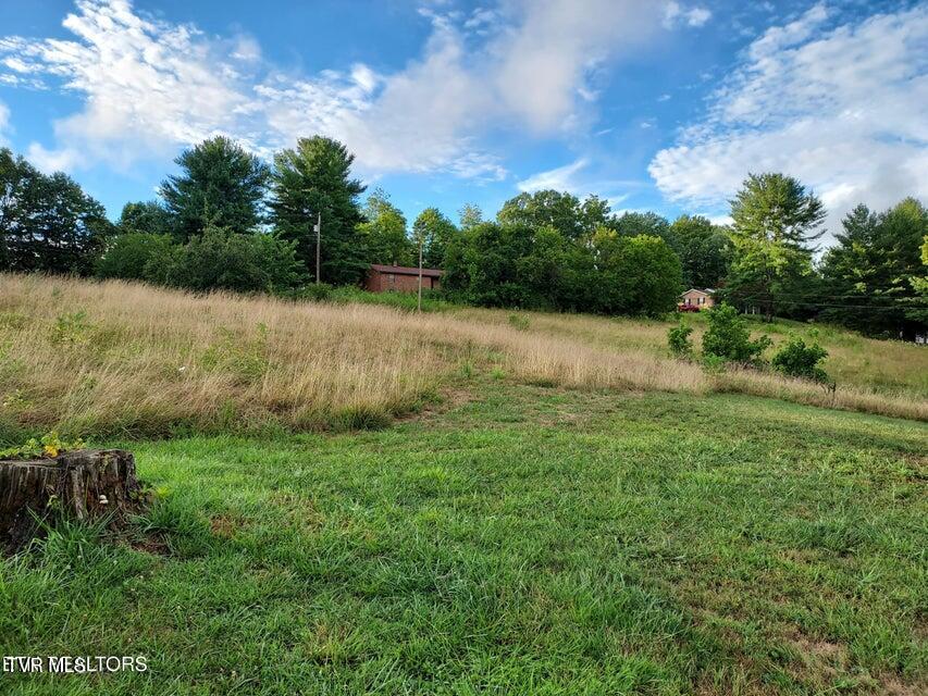 Photo #2: Tbd Luther Villa Road