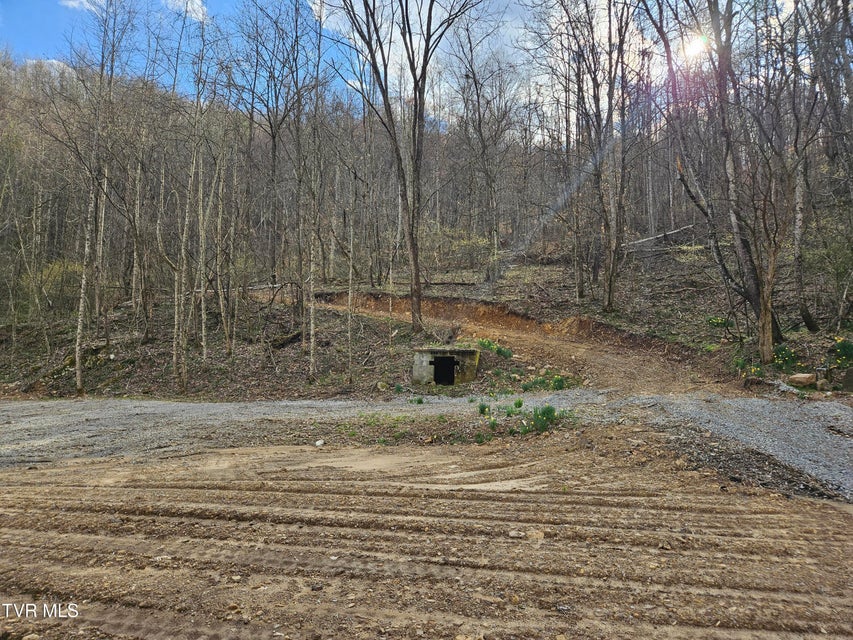 Photo #3: Tbd Right Poor Valley Road