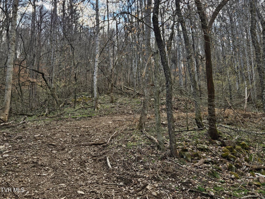 Photo #5: Tbd Right Poor Valley Road