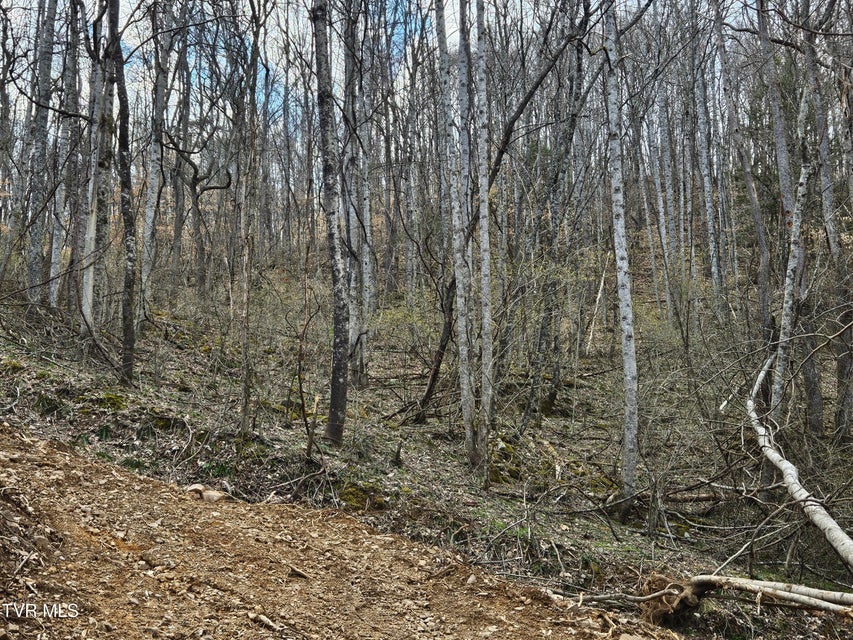 Photo #6: Tbd Right Poor Valley Road