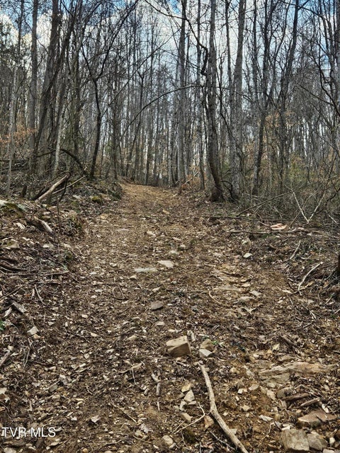 Photo #7: Tbd Right Poor Valley Road