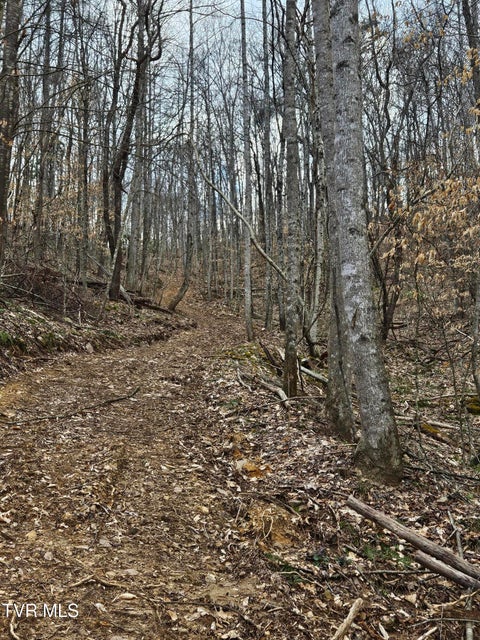 Photo #8: Tbd Right Poor Valley Road