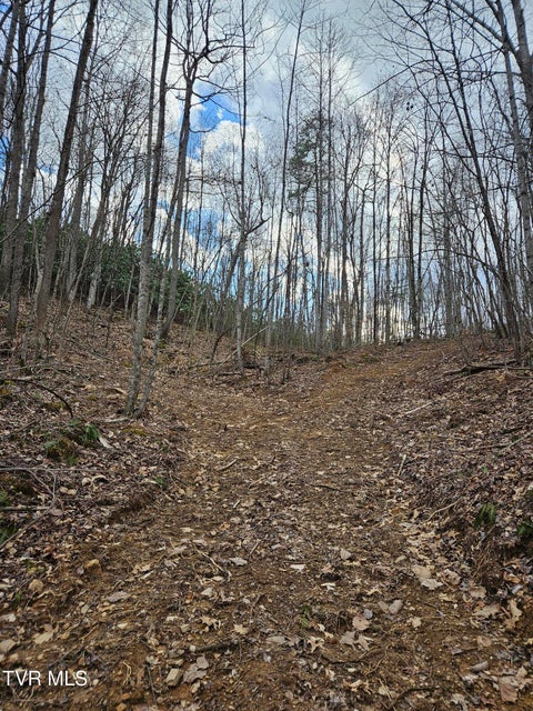 Photo #9: Tbd Right Poor Valley Road