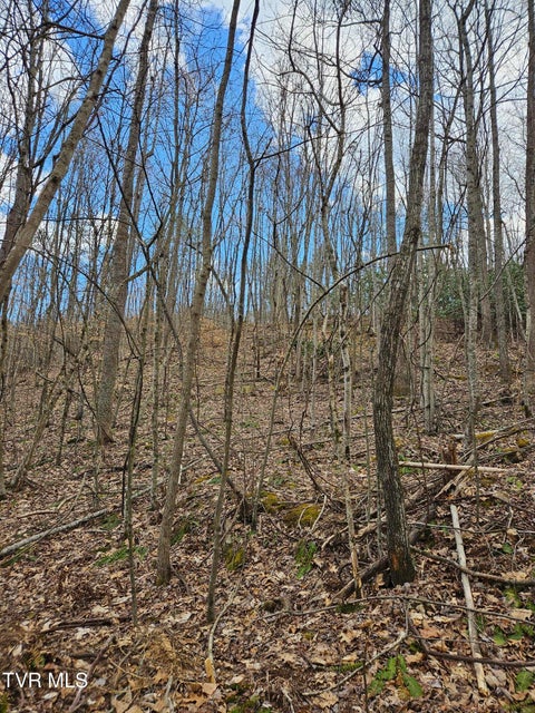 Photo #10: Tbd Right Poor Valley Road