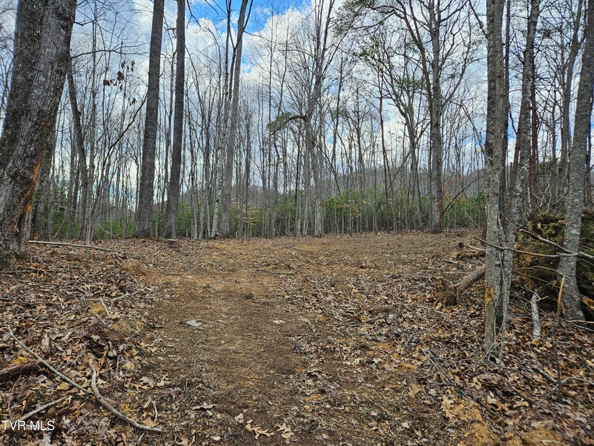 Photo #15: Tbd Right Poor Valley Road