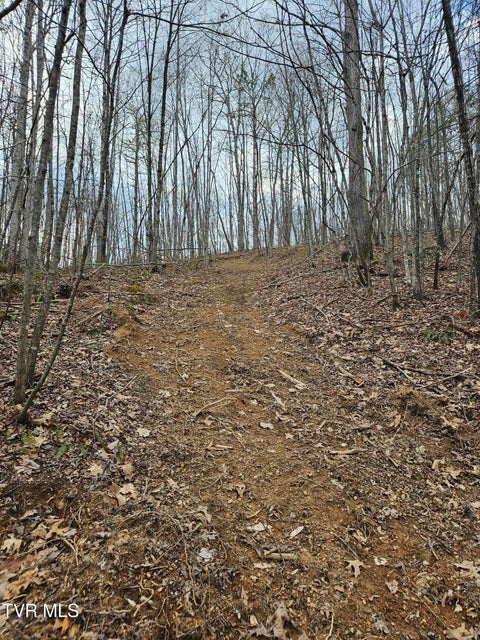 Photo #11: Tbd Right Poor Valley Road