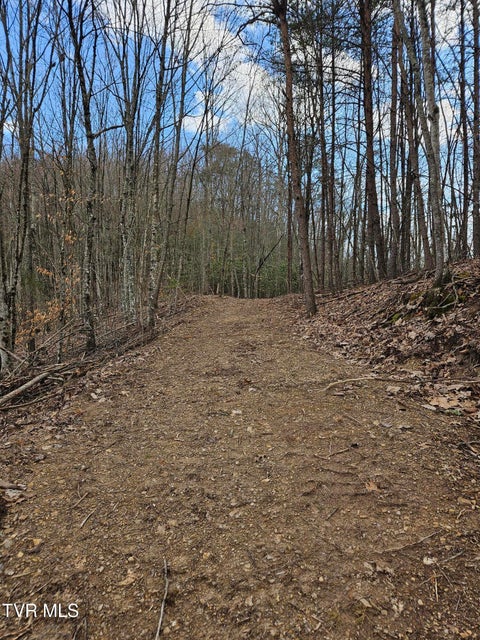 Photo #12: Tbd Right Poor Valley Road