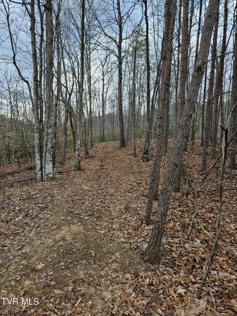 Photo #13: Tbd Right Poor Valley Road