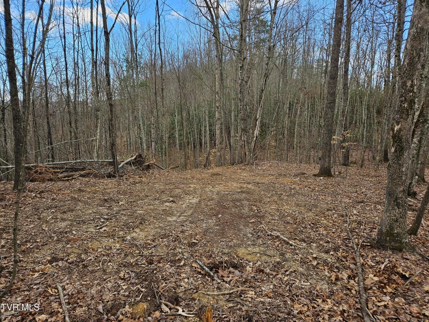 Photo #17: Tbd Right Poor Valley Road