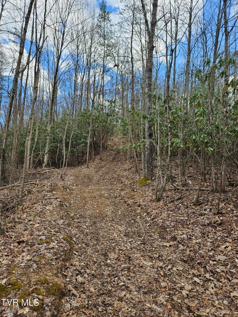 Photo #14: Tbd Right Poor Valley Road