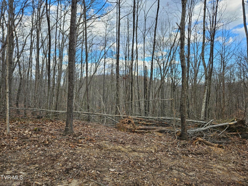 Photo #18: Tbd Right Poor Valley Road